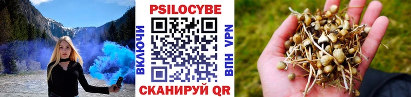 Псилоцибиновые грибы ЛСД  Полысаево 